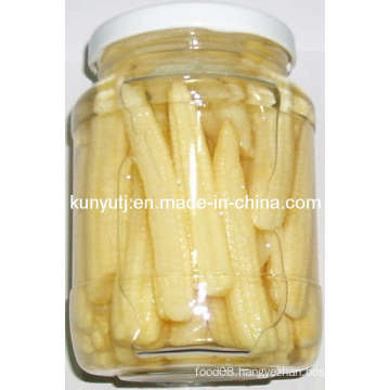 Canned Baby Corn with High Quality